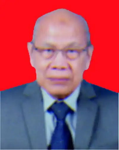 Prof. Dr. dr. Cholid Badri, Sp.Rad. (K)Onk